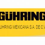guhringmexicanasadecv@conexioncanacintra.mx